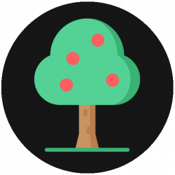 Fruit Tree Pruning